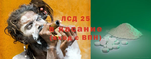прущие грибы Абаза