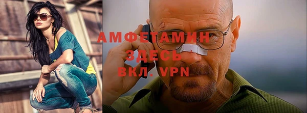 прущие грибы Абаза