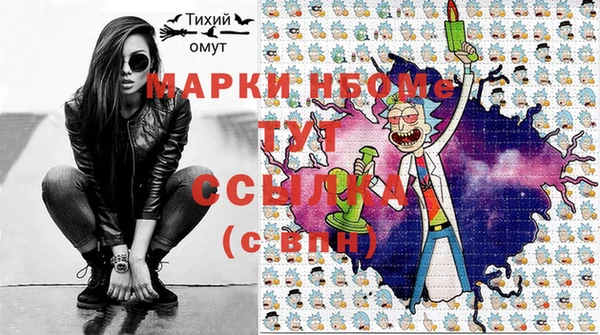 прущие грибы Абаза