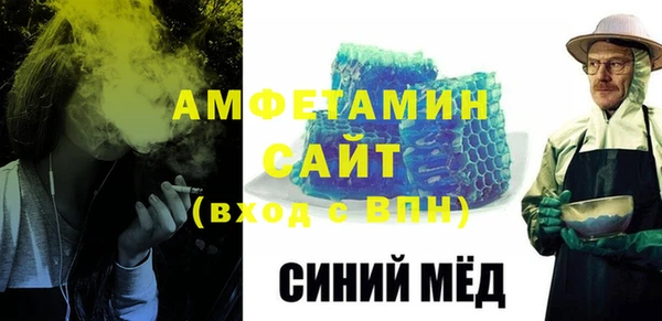 прущие грибы Абаза